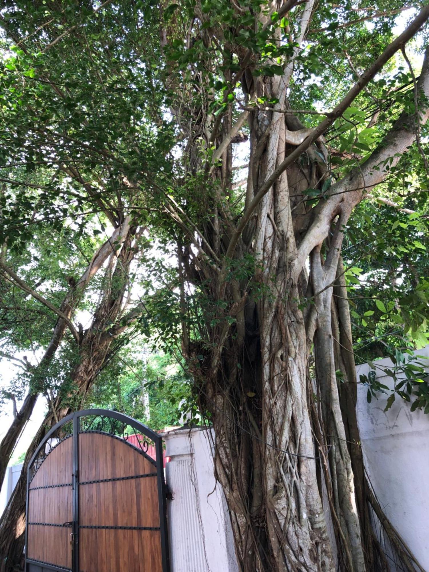 Murphy's * Katunayaka